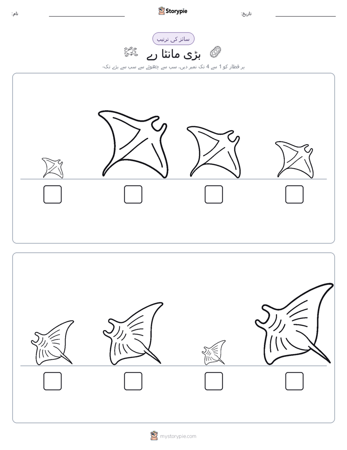 سائز کی ترتیب