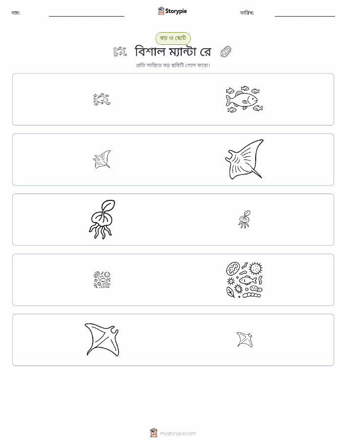 সাজানো