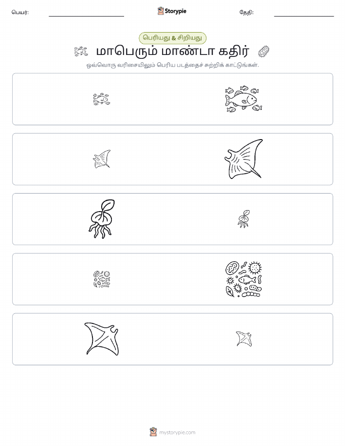வகைப்படுத்தல்