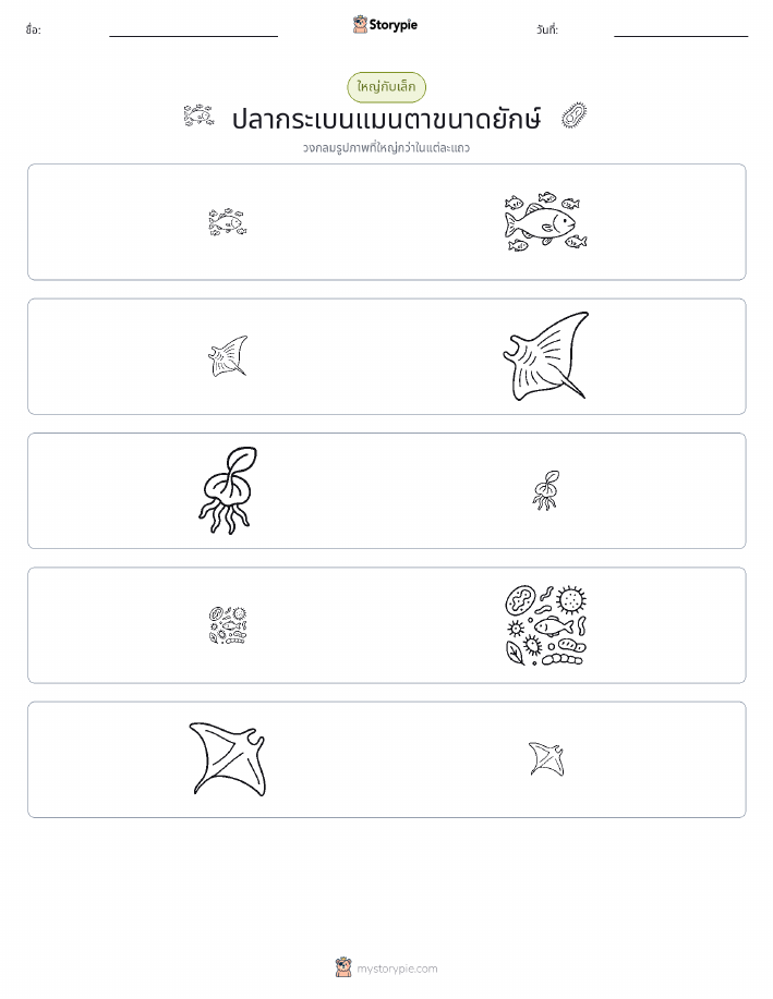 การจัดเรียง