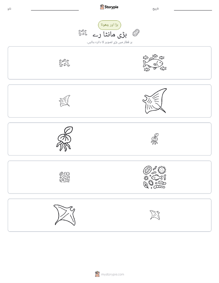 ترتیب دینا