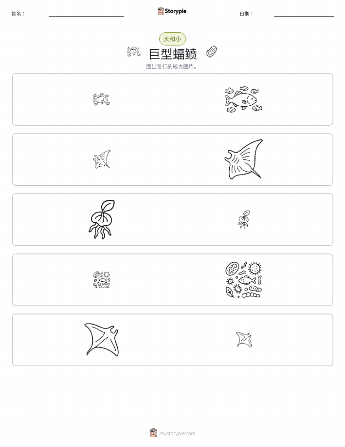 分类