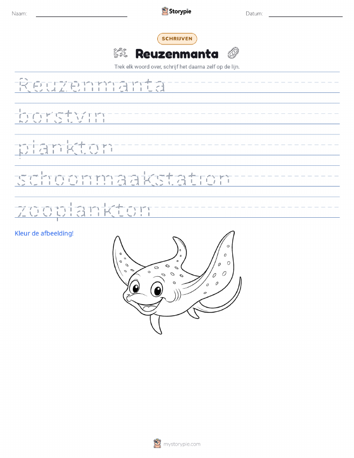 Schrijf Oefening
