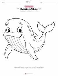 Humpback Whale coloring page for kids