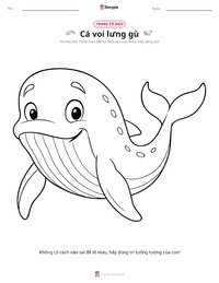 Trang tô màu Cá voi lưng gù cho trẻ em