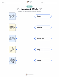Humpback Whale printable worksheet for kids
