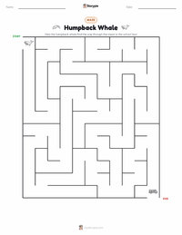 Humpback Whale printable worksheet preview