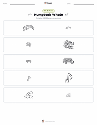 Humpback Whale printable worksheet preview