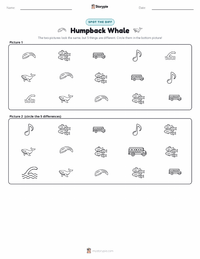 Humpback Whale printable worksheet preview