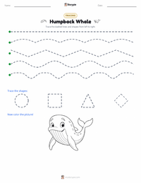 Humpback Whale printable worksheet preview