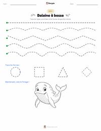 Aperçu de la feuille de travail imprimable Baleine à bosse