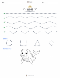 座头鲸 可打印工作表预览