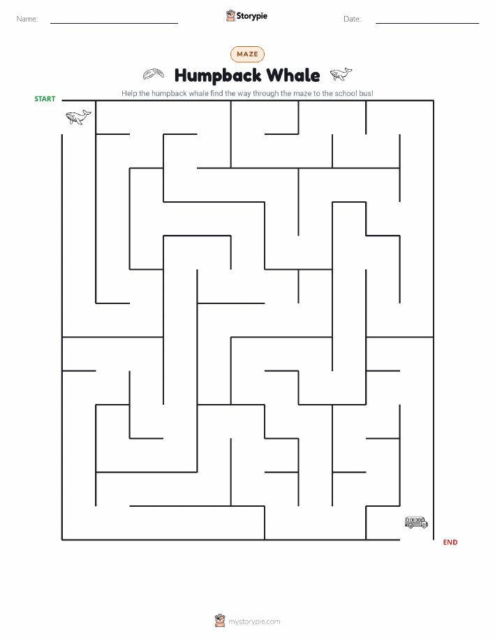 Maze