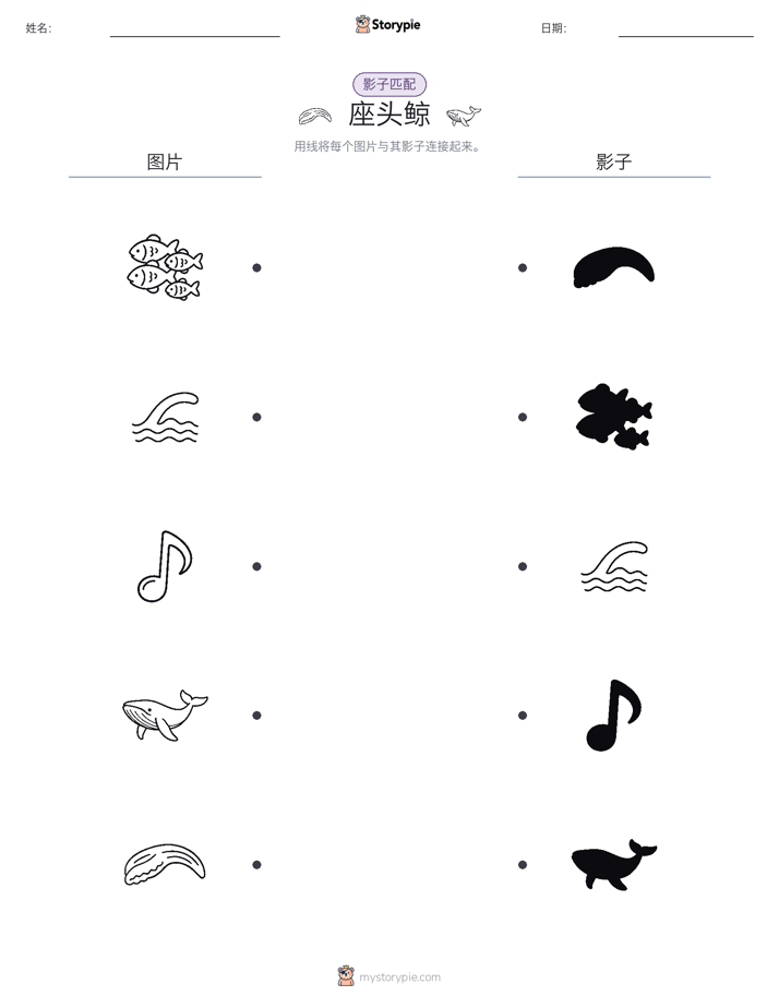 影子匹配