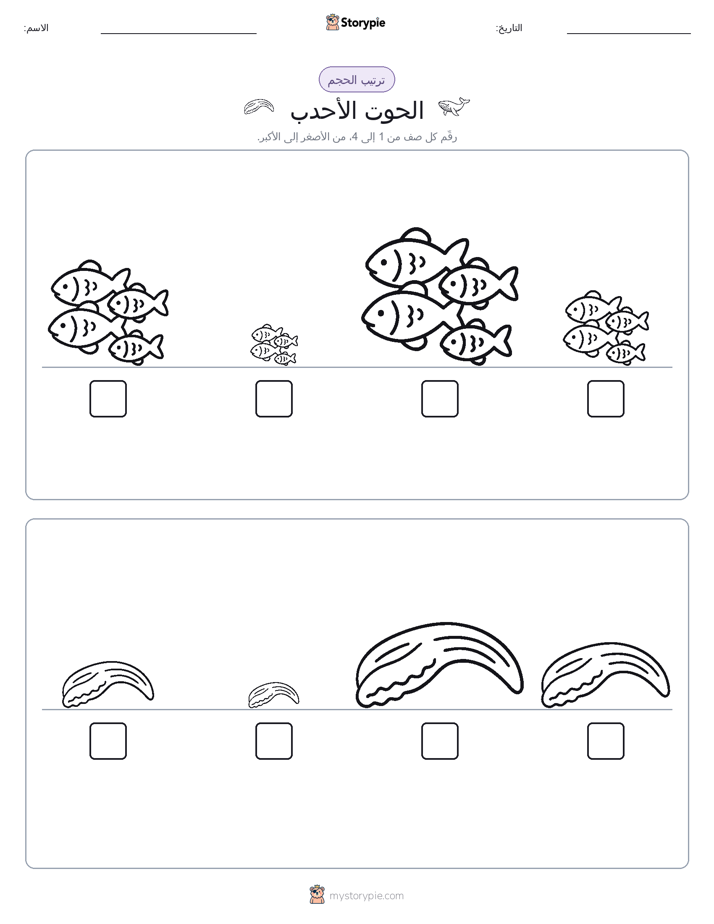 ترتيب الحجم