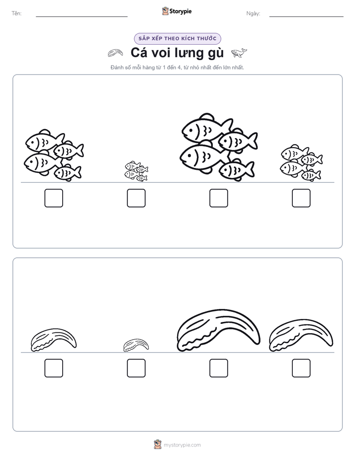 Thứ Tự Kích Thước