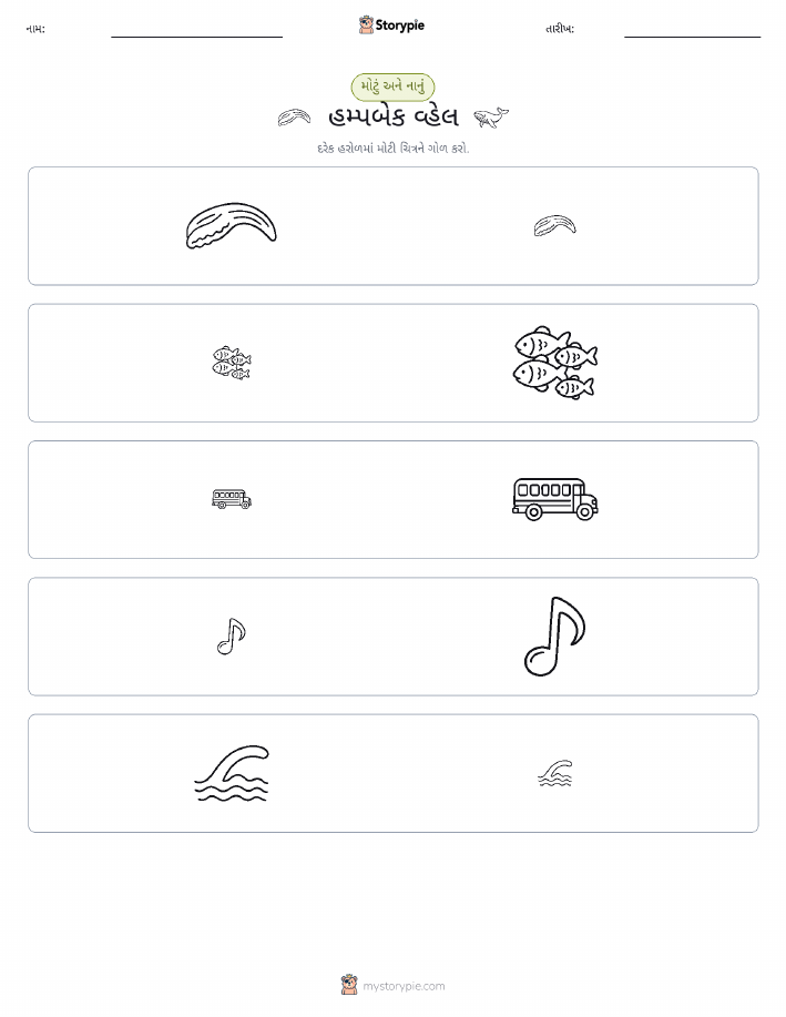 વર્ગીકરણ