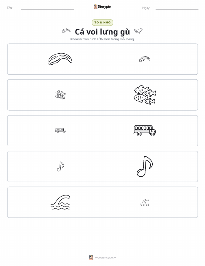 Phân Loại