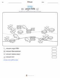 বেলুগা তিমি মুদ্রণযোগ্য কাজের পৃষ্ঠার প্রিভিউ