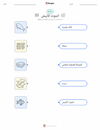 ورقة عمل قابلة للطباعة حوت بيلوغا للأطفال