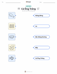 Tài liệu in sẵn Cá voi Beluga cho trẻ em