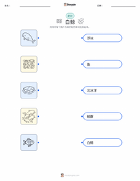 白鲸 可打印工作表预览