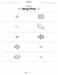 Beluga Whale printable worksheet preview