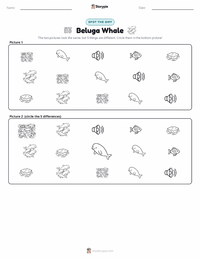 Beluga Whale printable worksheet preview
