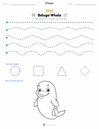 Beluga Whale printable worksheet preview