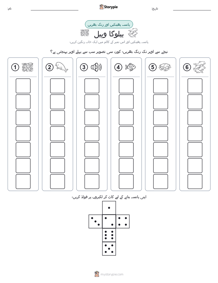 رول اور رنگ
