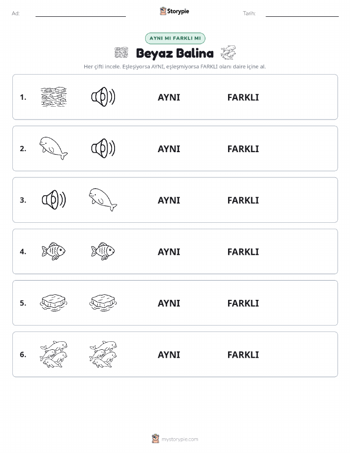 Aynı mı Farklı mı