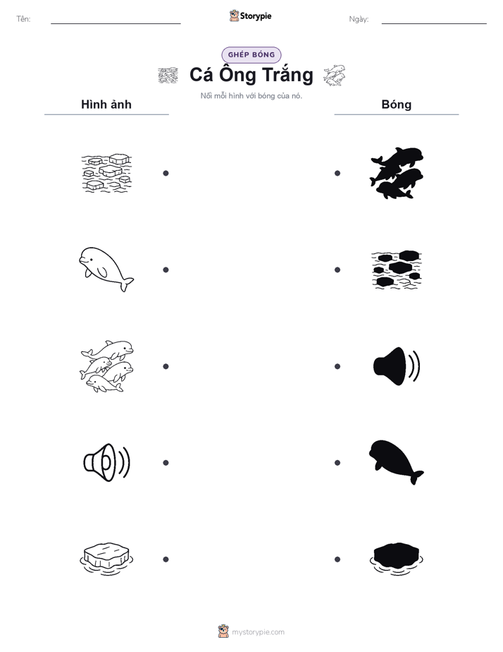 Ghép Hình Bóng