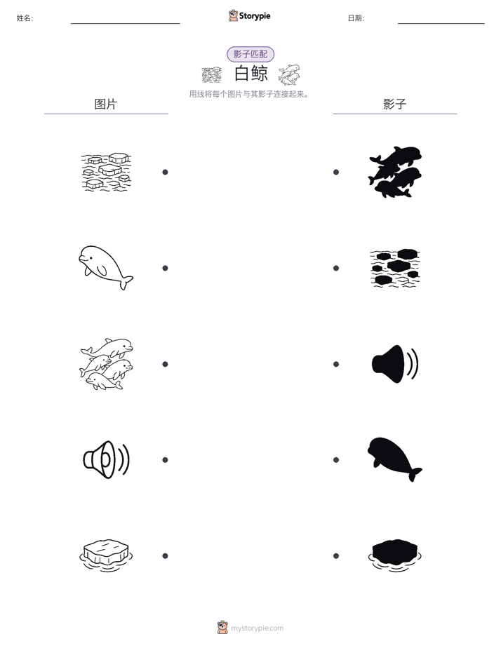 影子匹配
