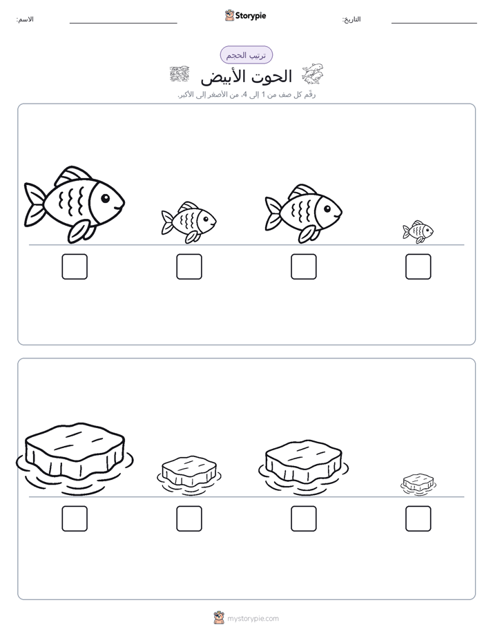 ترتيب الحجم