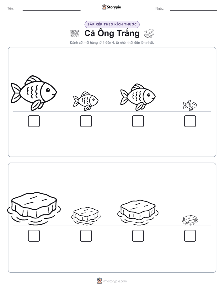 Thứ Tự Kích Thước