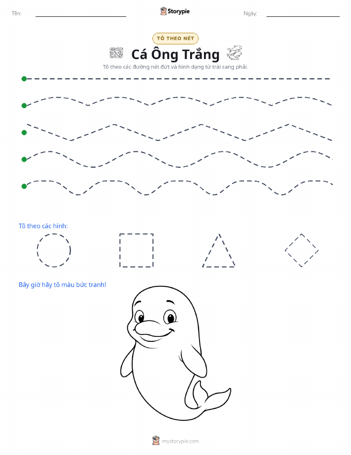 Vẽ Theo Đường