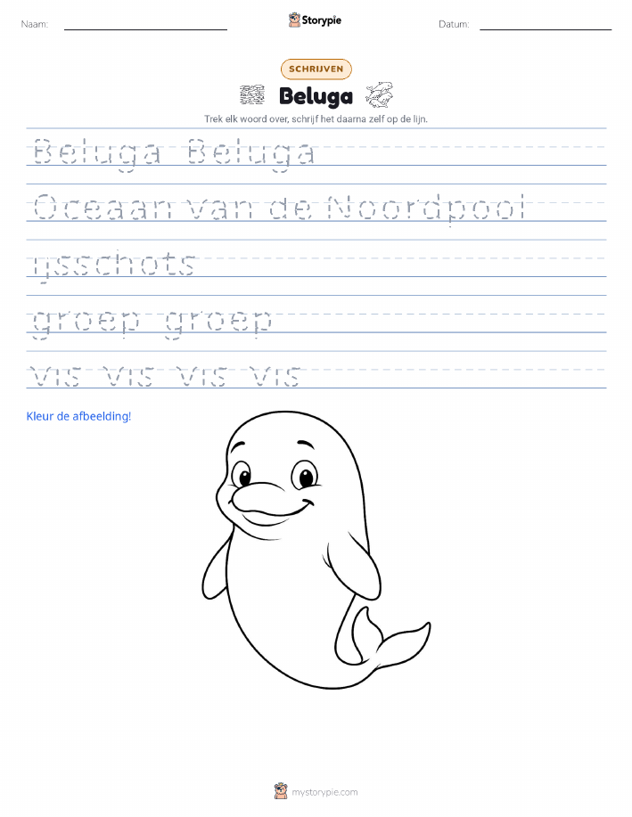 Schrijf Oefening