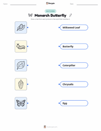 Monarch Butterfly printable worksheet for kids