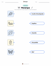 Feuille de travail imprimable Papillon Monarque pour les enfants