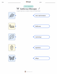 Бабочка монарх распечатываемый рабочий лист для детей