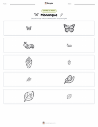 Aperçu de la feuille de travail imprimable Papillon Monarque