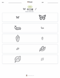 帝王蝶 可打印工作表预览