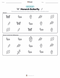 Monarch Butterfly printable worksheet preview