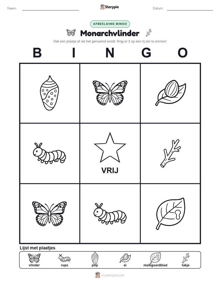 Afbeelding Bingo