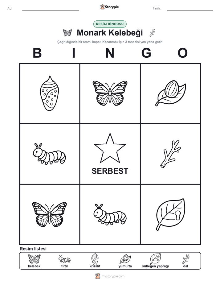 Resim Bingo