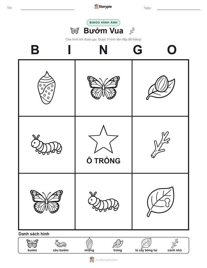 Bingo Hình Ảnh