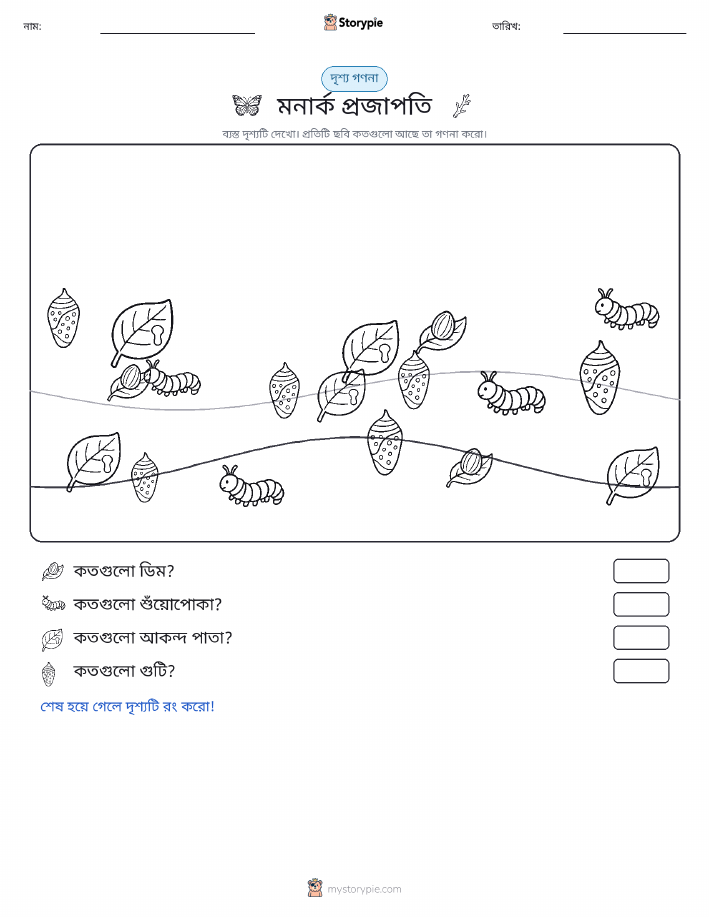 গণনা দৃশ্য