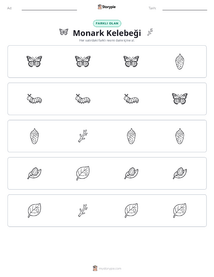 Farklı Olanı Bul