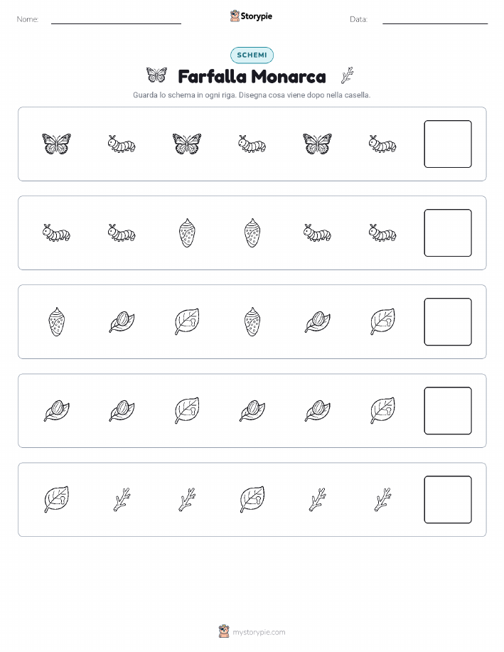 Pattern
