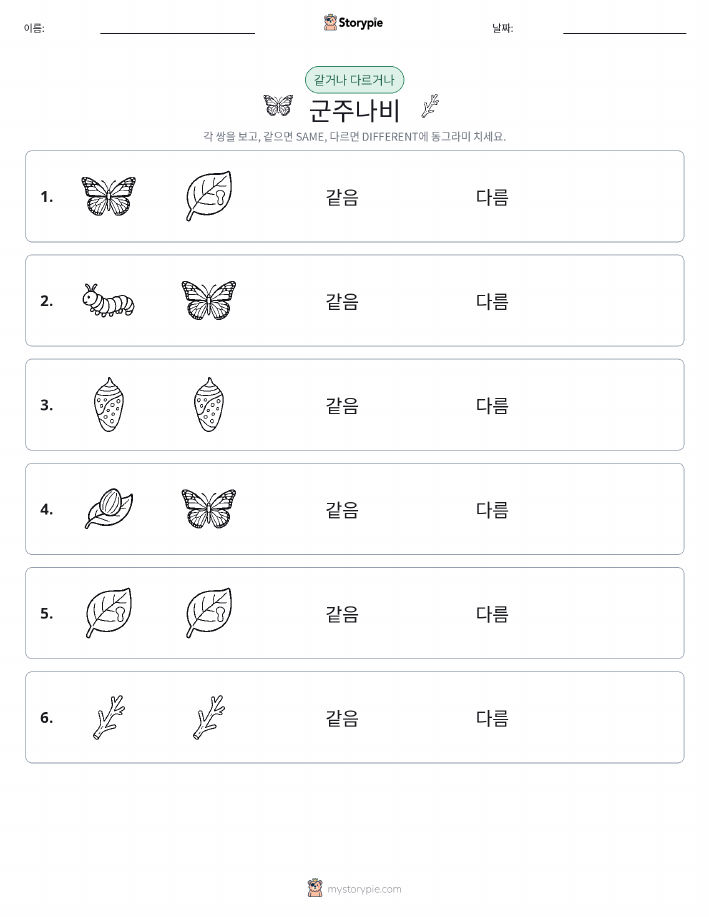 같은 것 또는 다른 것